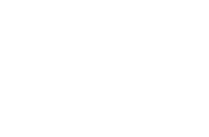 Logo Sponsor Expeditie BAAS - Oranjefonds