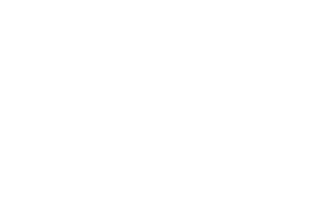 Logo Sponsor Expeditie BAAS - Scheuders Sport